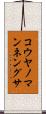 コウヤノマンネングサ Scroll