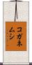 コガネムシ Scroll