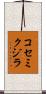 コセミクジラ Scroll