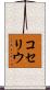 コセリウ Scroll