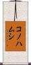 コノハムシ Scroll