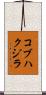 コブハクジラ Scroll
