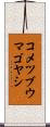 コメツブウマゴヤシ Scroll