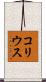 コリウス Scroll