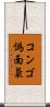 コンゴ偽面梟 Scroll