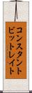 コンスタント・ビット・レイト Scroll