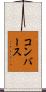 コンバース Scroll