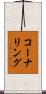 コーナリング Scroll