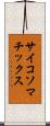 サイコソマチックス Scroll