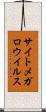 サイトメガロウイルス Scroll