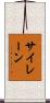 Thylane Scroll