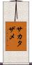 サカタザメ Scroll