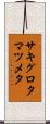 サキグロタマツメタ Scroll