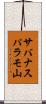 サバナスパラモ山 Scroll