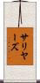 Salyers Scroll