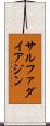 サルファダイアジン Scroll