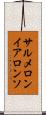 サルメロンイアロンソ Scroll