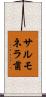 サルモネラ菌 Scroll