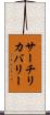 サーチ＆リカバリー Scroll
