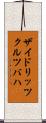 ザイドリッツクルツバハ Scroll
