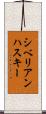 シベリアンハスキー Scroll