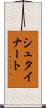 シュタイナート Scroll