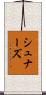 シュナーズ Scroll