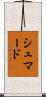 Shumard Scroll