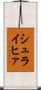 シュライヒァ Scroll