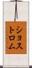 ショストロム Scroll