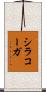 シラコーガ Scroll