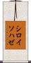 シロイソハゼ Scroll