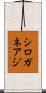 シロガネアジ Scroll