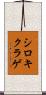 シロキクラゲ Scroll
