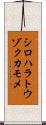 シロハラトウゾクカモメ Scroll