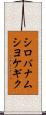 シロバナムシヨケギク Scroll