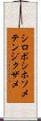 シロボシホソメテンジクザメ Scroll