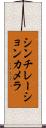 シンチレーションカメラ Scroll