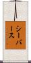 シーバース Scroll