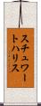 スチュワートハリス Scroll