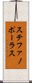 ステファノポーラス Scroll