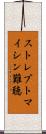 ストレプトマイシン難聴 Scroll