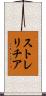 ストレリチア Scroll