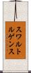 スワルトルゲンス Scroll