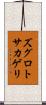 ズグロトサカゲリ Scroll