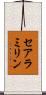 セアラミリン Scroll