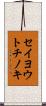 セイヨウトチノキ Scroll