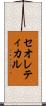 セオレティカル Scroll