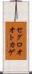 セグロオオトカゲ Scroll