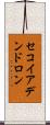 セコイアデンドロン Scroll